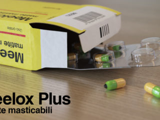 Meelox Plus